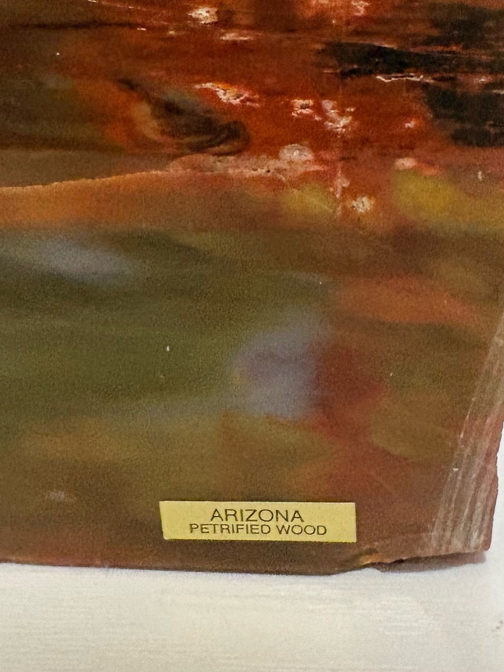 Arizona 8 lbs Petrified Wood Stone Solid Piece